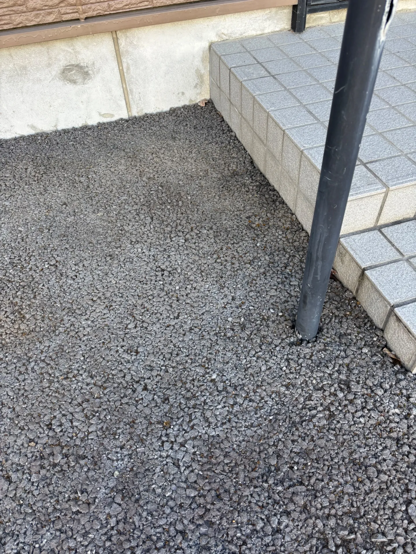 苔除去作業