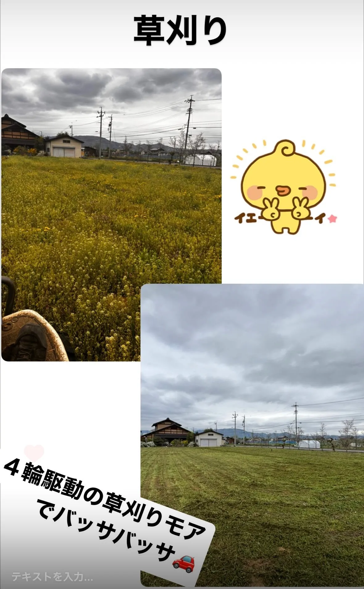 草刈りを行いました！