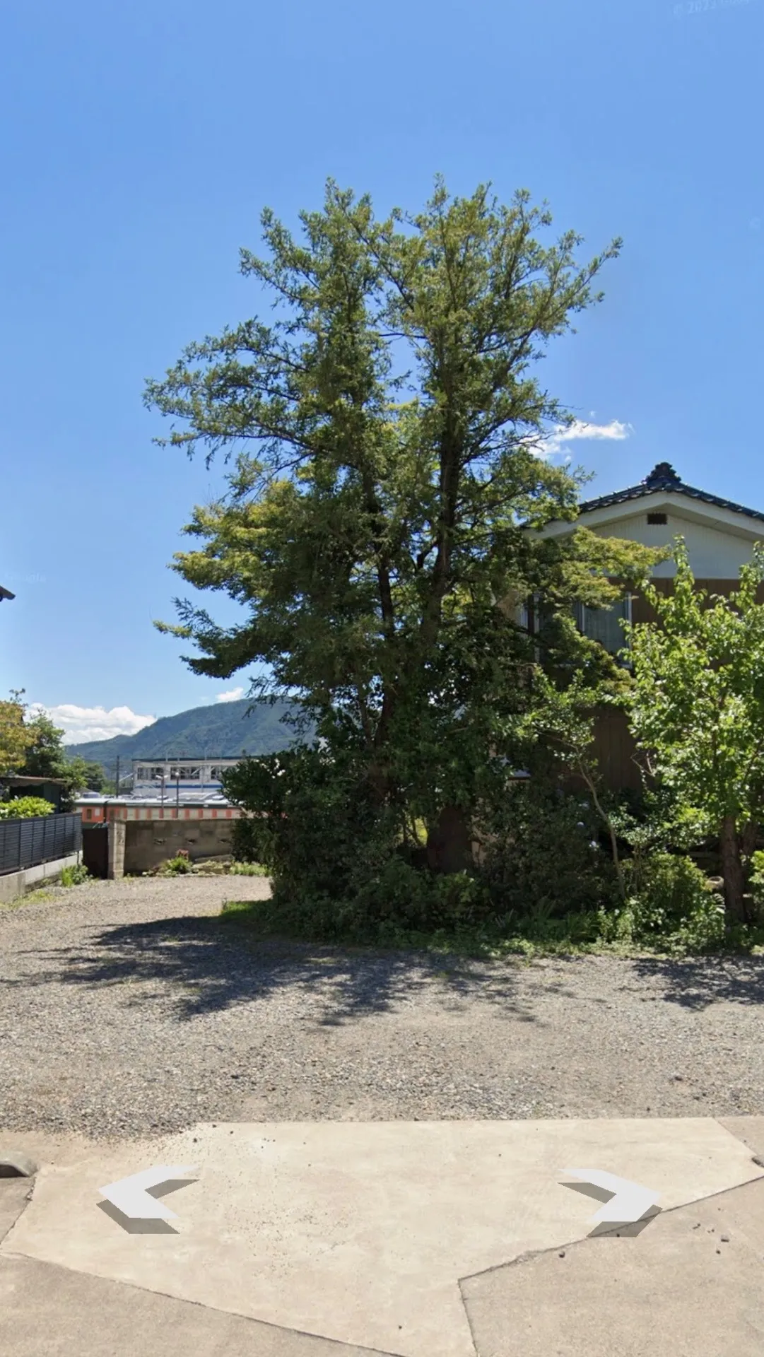 お庭リフォーム　（伐採・伐根・砂利敷）